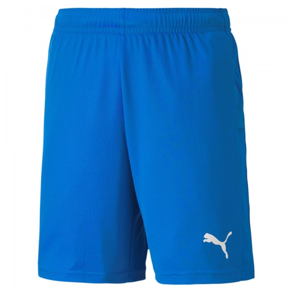 teamGOAL 23 knit Shorts jr