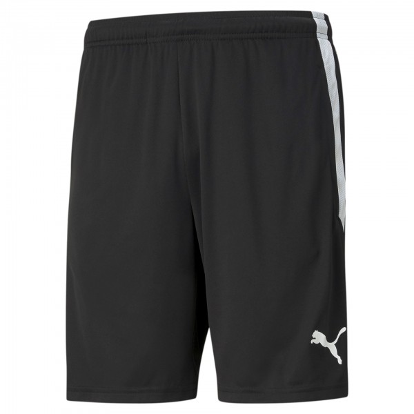 Puma teamLIGA Training Shorts mit Reißverschlusstaschen