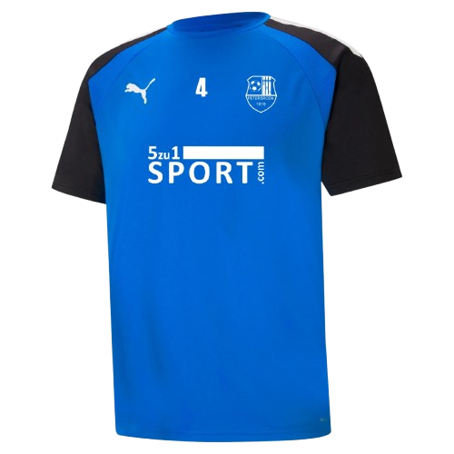 ESV Trainingsshirt