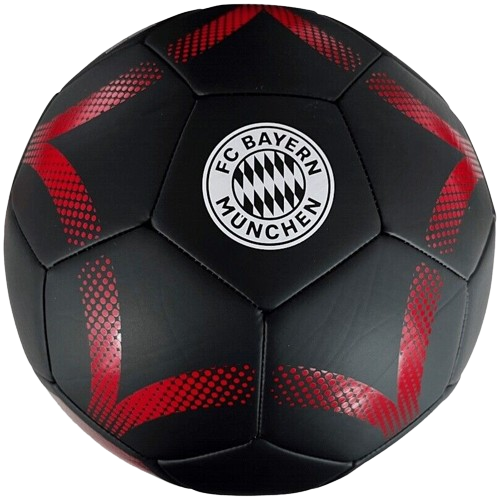 FC Bayern München Ball Gr. 5